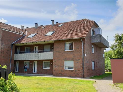 Semesterhus/Semesterlägenhet - 2 personer -  - Deichstraße - 26506 - Norden-Norddeich