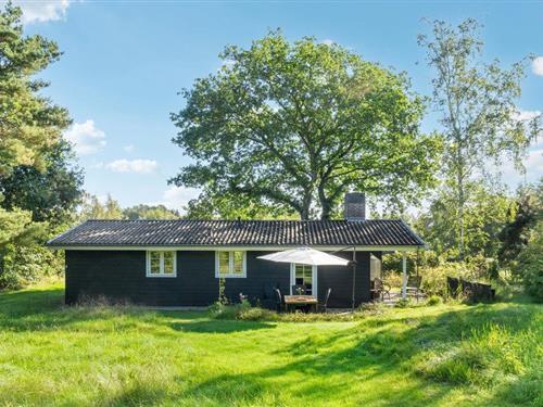 Ferienhaus - 6 Personen -  - Havbakkevej - Skovgaarde - 8961 - Allingaabro