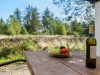 Billede 20 - Terrasse
