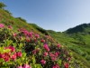 Bilde 23