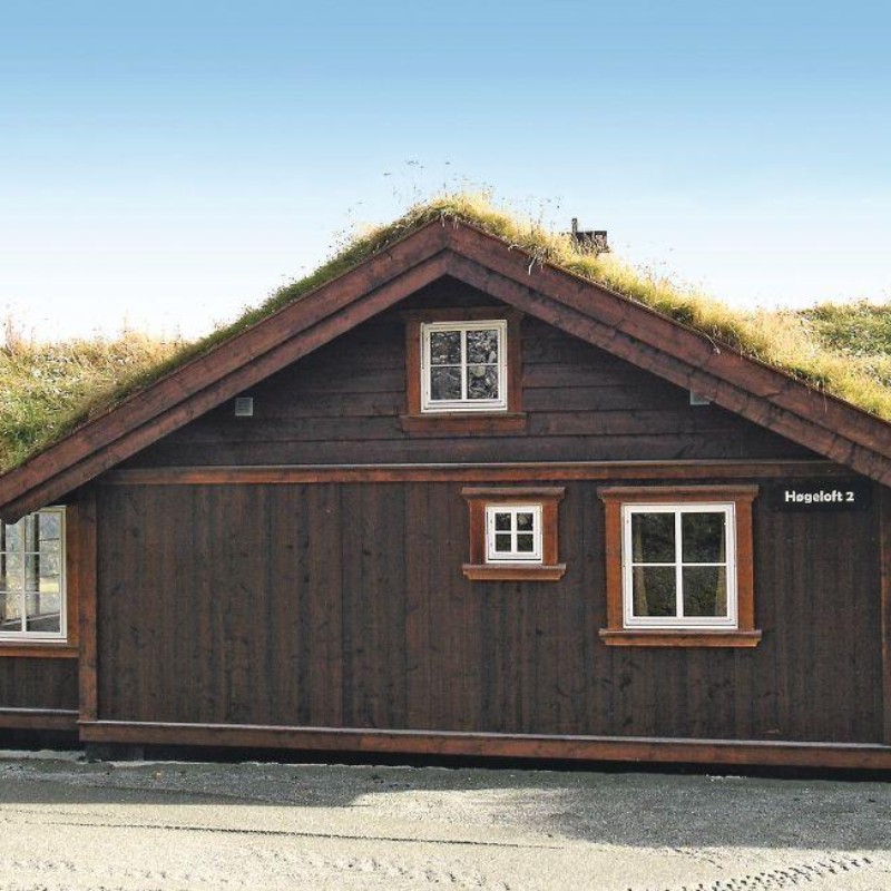 Sommerhus - 18 personer -  - Høgeloft - 3560 - Hemsedal