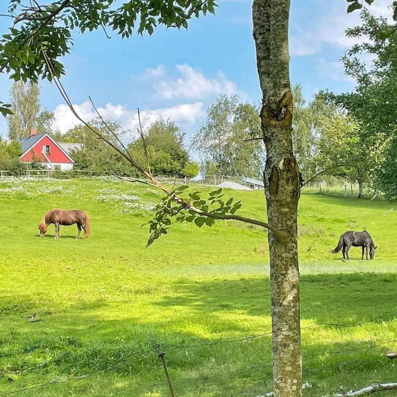  - 4 personer -  - Havberg - 27491 - Skurup
