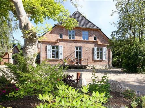 Ferielejlighed - 4 personer -  - Hafenstraße - 18347 - Ostseebad Wustrow