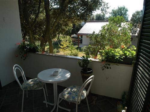 Holiday Home/Apartment - 6 persons -  - Petrcane - 23231 - Petrcane