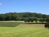 Billede 27