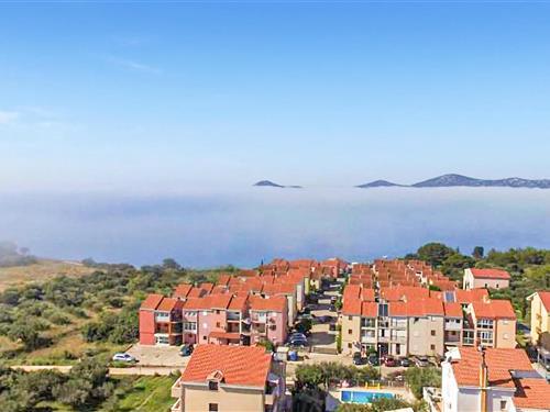 Feriehus / leilighet - 5 personer -  - Maslinski  put - Biograd-Biograd - 23210 - Biograd