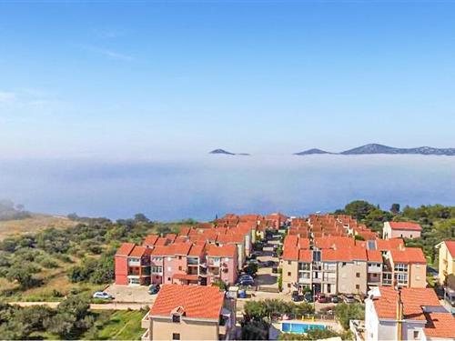 Holiday apartment - 5 persons -  - Maslinski  put - Biograd-Biograd - 23210 - Biograd