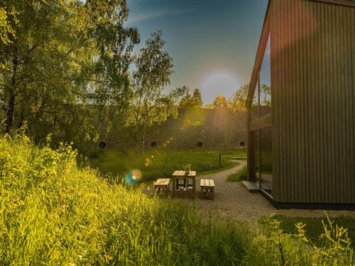 Sommerhus - 2 personer -  - Schleiden - 53937