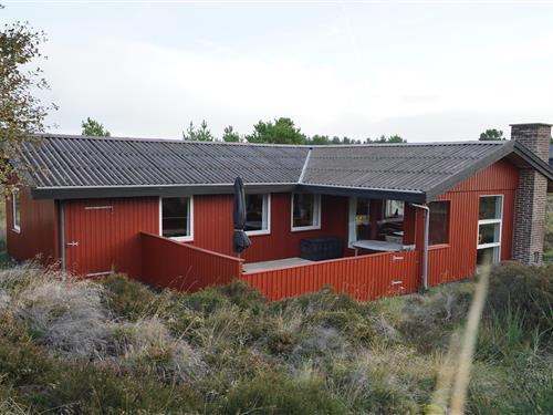 Feriehus - 5 personer -  - Ligustervej - 6854 - Henne Strand