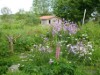 Bild 6