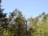 Billede 18
