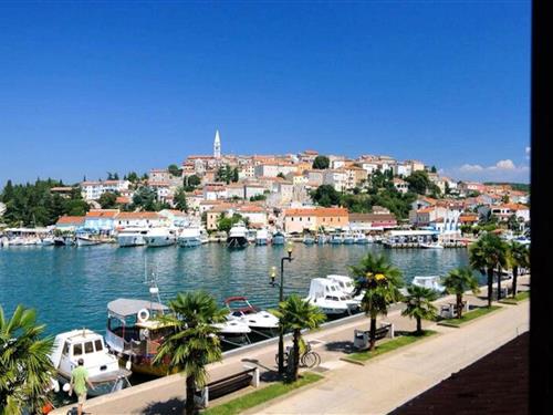 Holiday apartment - 4 persons -  - 52450 - Vrsar