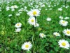 Bild 23 - Aussen