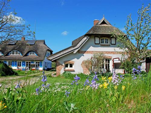 Bondegård - 4 personer -  - Altensien - 18586 - Sellin (Ostseebad)