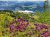 Bild 16 - Aussen
