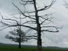Bild 23 - Aussen