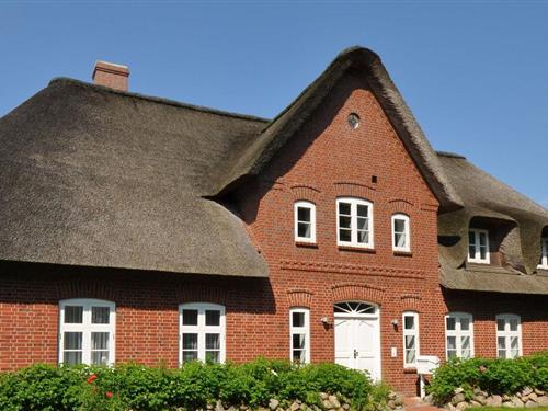 Ferielejlighed - 2 personer -  - Bövergeest - 25826 - St Peter-Ording