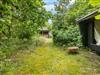 Billede 19 - Grund