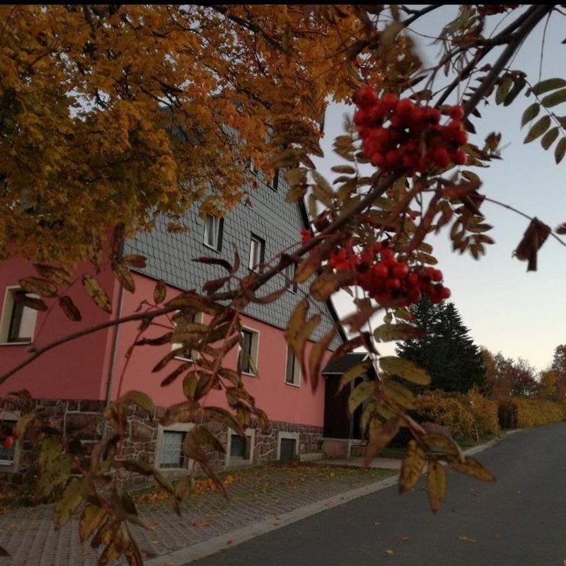 Ferielejlighed - 4 personer -  - Hochmoorweg - 01773 - Altenberg