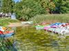 Bild 14