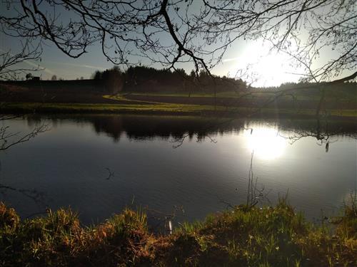 Ferienwohnung - 3 Personen -  - Marktplatz - 95234 - Sparneck