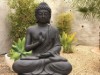 Bild 23