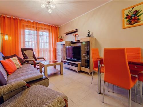 Ferieleilighet - 4 personer -  - Przemyslowa - 58-540 - Karpacz