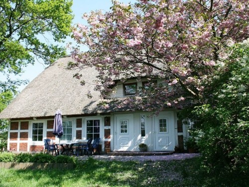 Sommerhus - 3 personer -  - 21710 - Engelschoff