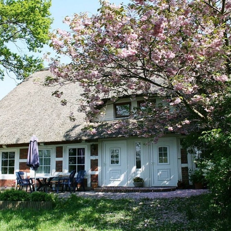 Sommerhus - 3 personer -  - 21710 - Engelschoff