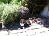 Bild 22