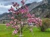 Bild 13