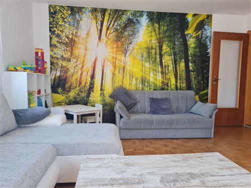 Ferielejlighed - 3 personer -  - Frauenau - 94258