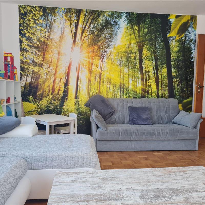 Ferielejlighed - 3 personer -  - Frauenau - 94258