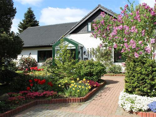 Holiday Home/Apartment - 5 persons -  - Bgm.-Eilts-Straße - 26817 - Rhauderfehn