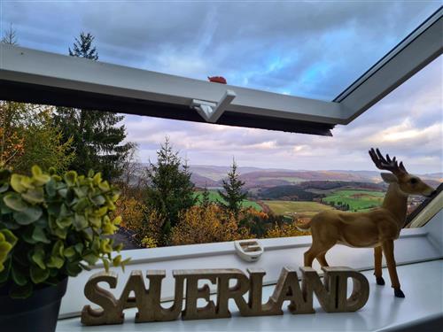 Ferielejlighed - 4 personer -  - Am Dörnberg - 59909 - Bestwig