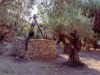 Image 20 - Outside