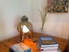 Bild 15