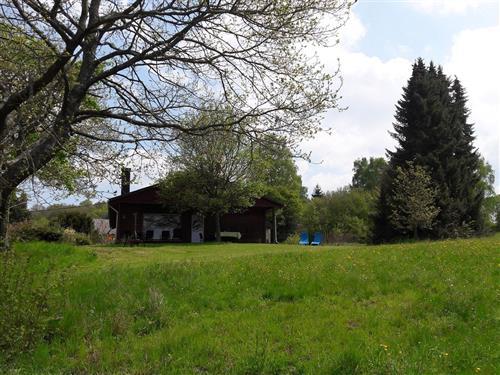 Feriehus / leilighet - 7 personer -  - Pilmeroth - 54483 - Kleinich