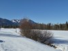 Bild 49 - Ude