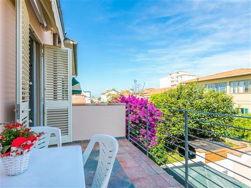 Ferienwohnung - 6 Personen -  - Castiglioncello - 57016