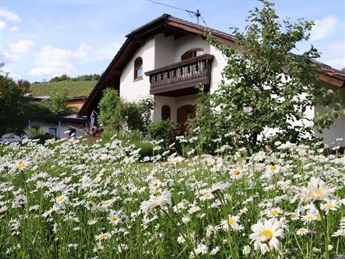 Holiday Home/Apartment - 4 persons -  - Burg-Layer-Straße - 55452 - Rümmelsheim-Burg Layen