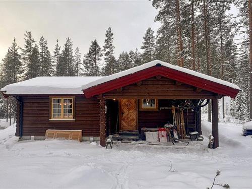Sommerhus - 7 personer -  - Kvennbekkegga - Ljørdalen, Trysil - 2425 - Ljørdalen