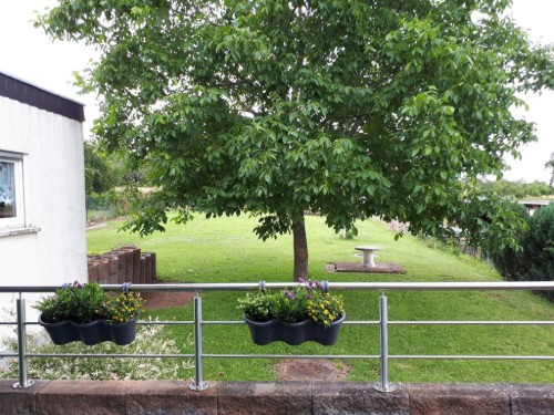 Ferielejlighed - 4 personer -  - Sonnenhang - 66679 - Losheim - Scheiden