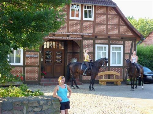 Bauernhof - 3 persons -  - Kirchstraße - 29664 - Walsrode