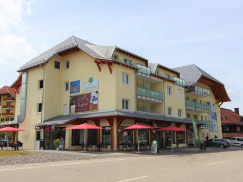 Ferielejlighed - 5 personer -  - Passhöhe - 79868 - Feldberg
