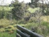 Billede 16