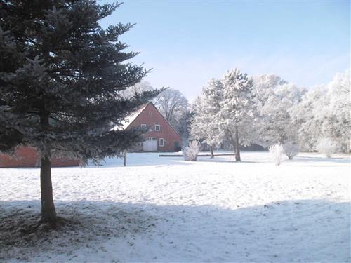 Ferieleilighet - 4 personer -  - Schlussdorfer Straße - 27726 - Worpswede