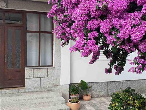 Ferieleilighet - 4 personer -  - Banjol - 51280 - Rab