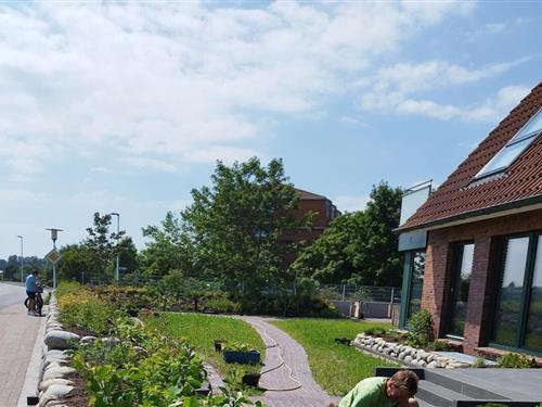 Ferienhaus - 4 Personen -  - 26548 - Norderney