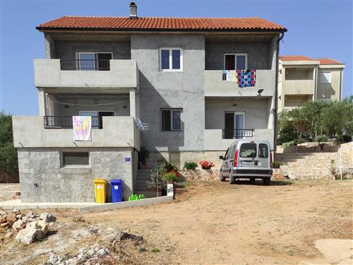 Ferieleilighet - 5 personer -  - Pašmanska cesta - 23212 - Tkon